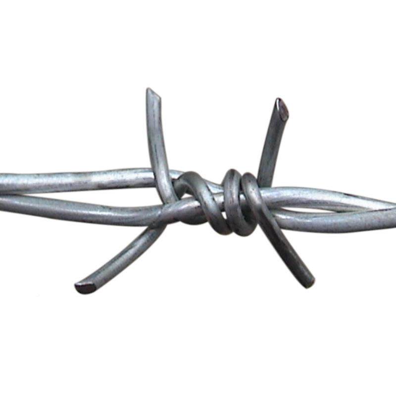 热刺镀锌刺丝线刺护丝防网防盗GNS防护刺网铁绳铁网铁蒺藜,淘宝优惠券,粉丝福利购,淘宝优惠卷