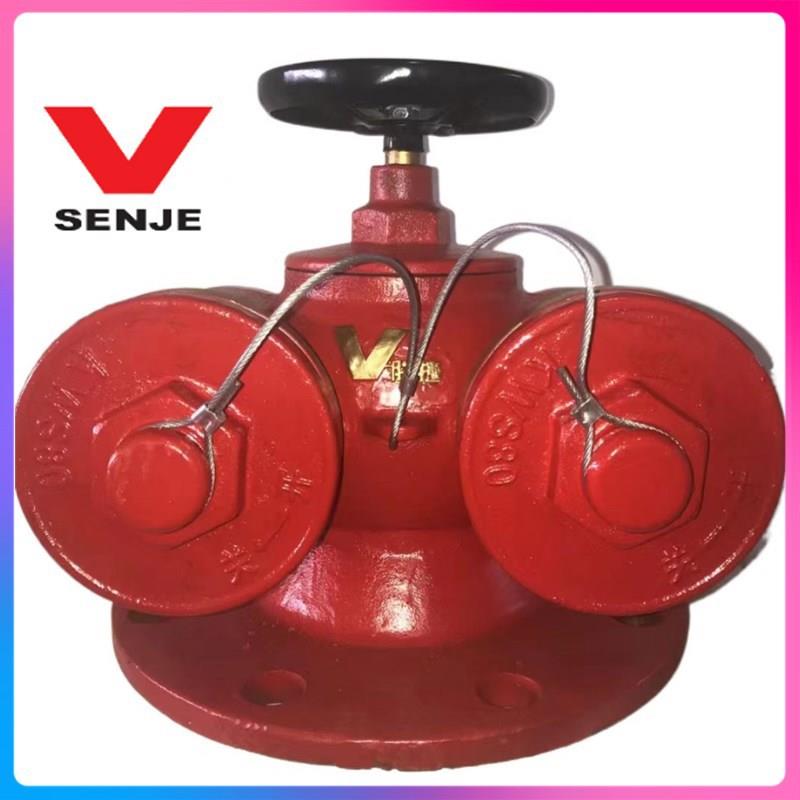 闽山地上地下水泵接合器 SQS150 SQB100-65-1.6 墙壁式水泵接合器 - 图0