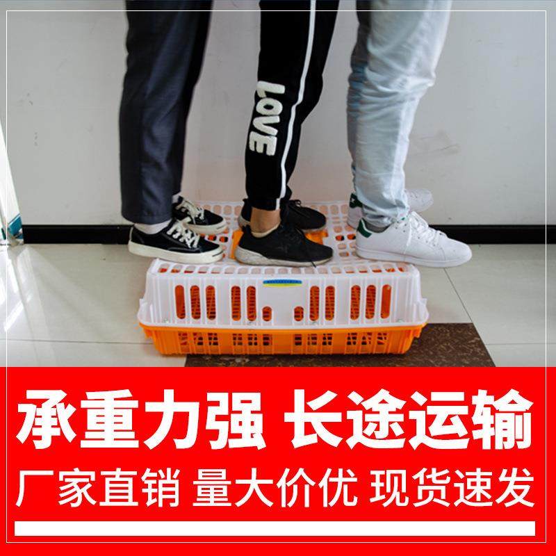鸡笼运输笼大号加厚塑料家禽坚固不变形鸡鸭鹅兔鸽周转笼子鸡笼门,淘宝优惠券,粉丝福利购,淘宝优惠卷