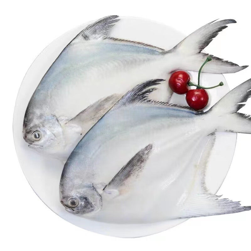 【象山原产地特产】海鲜鲳鱼流网鲜新鲜活冻鲳鱼平鱼鲳鳊鱼白鲳鱼,淘宝优惠券,粉丝福利购,淘宝优惠卷