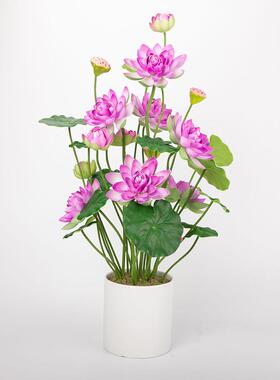 仿真装FEN-多头饰VA荷花莲藕盆栽假绿植塑料荷花荷叶摄E影睡莲婚