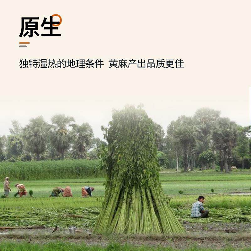 全拆黄麻床垫乳胶椰棕家用卧室席梦思偏硬15cm厚护脊腰,淘宝优惠券,粉丝福利购,淘宝优惠卷