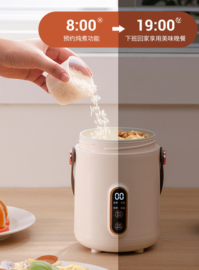 电炖锅小型多功能小炖锅电煮锅煲汤煮面煮粥神器家用上班族电炖盅