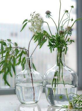 大肚花瓶桌面玻璃水竹透明圆肚水生餐桌户外大号花艺样板间文艺