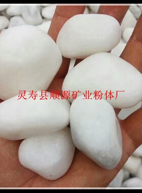 厂家供应鹅卵石 园林铺路/鱼缸造景专用白石子/白色鹅卵石