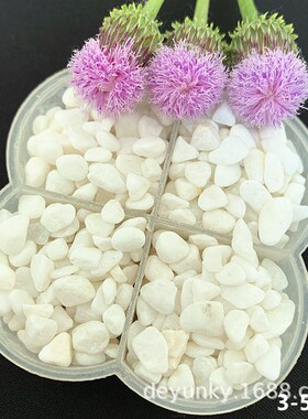 白色鹅卵石园林造景白石子庭院铺路雨花石白色水洗石水磨石白石子