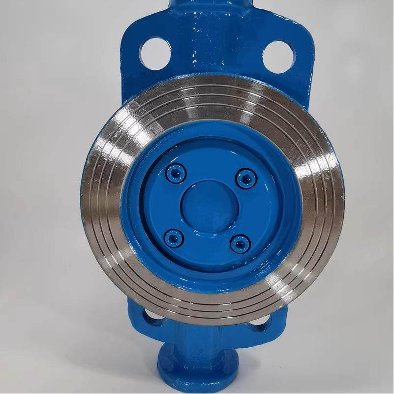 D373H-16C/10CD373W-10P铸钢/不锈钢304涡轮硬密封对夹式蝶阀,淘宝优惠券,粉丝福利购,淘宝优惠卷