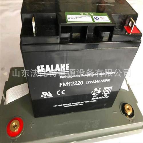 SEALAKE蓄电池FM12170应急电源12V17Ah质保1年海湖免维护电池 - 图0