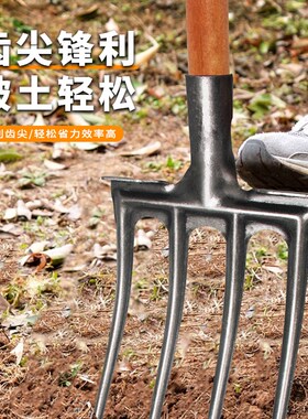 翻地松土钢叉挖土野菜开荒叉粪叉牛粪叉子花生叉种菜洋叉刚叉大全
