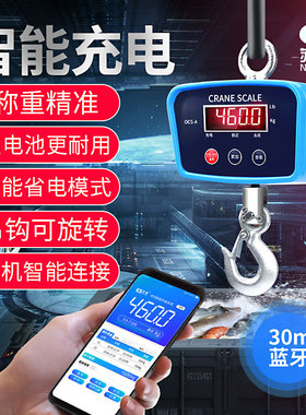 吊秤电子秤电子吊称500kg300公斤200家用100吊钩秤1吨商用电子称t