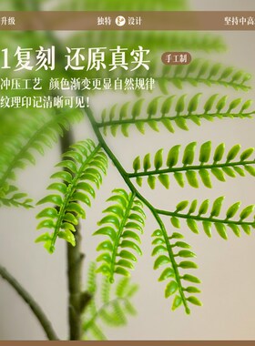 仿真绿植c蓝花楹高级感室内客厅阳台装饰假树盆栽落地摆件仿生植