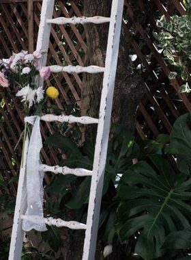 森得源花园陈列饰品爬藤架架梯子铁艺装饰摆件梯爬空间家居创意架