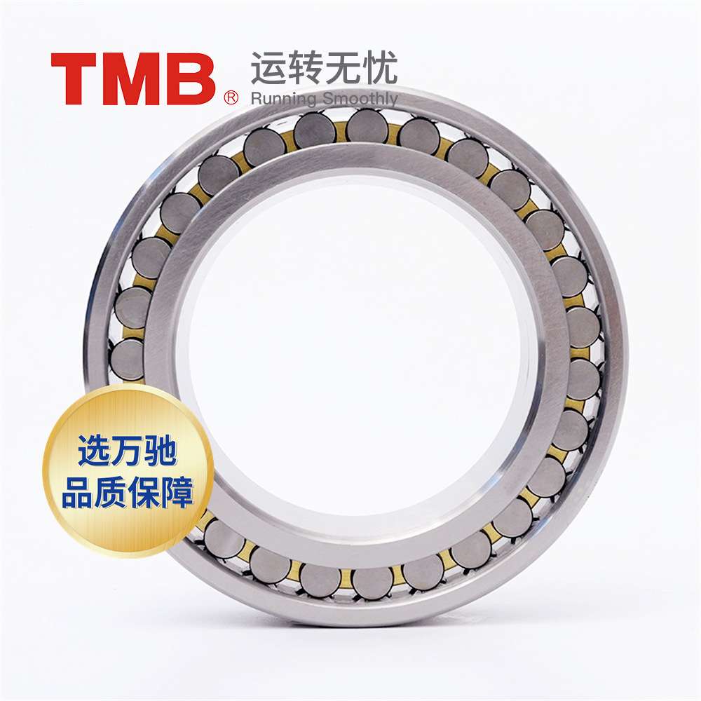 TMB/天马轴承NN3020K/P5W33(HS精密)精密机床双列圆柱滚子轴承 - 图2