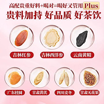 柏年树养生茶包 气血双补 素颜水 20袋装[30元优惠券]-寻折猪