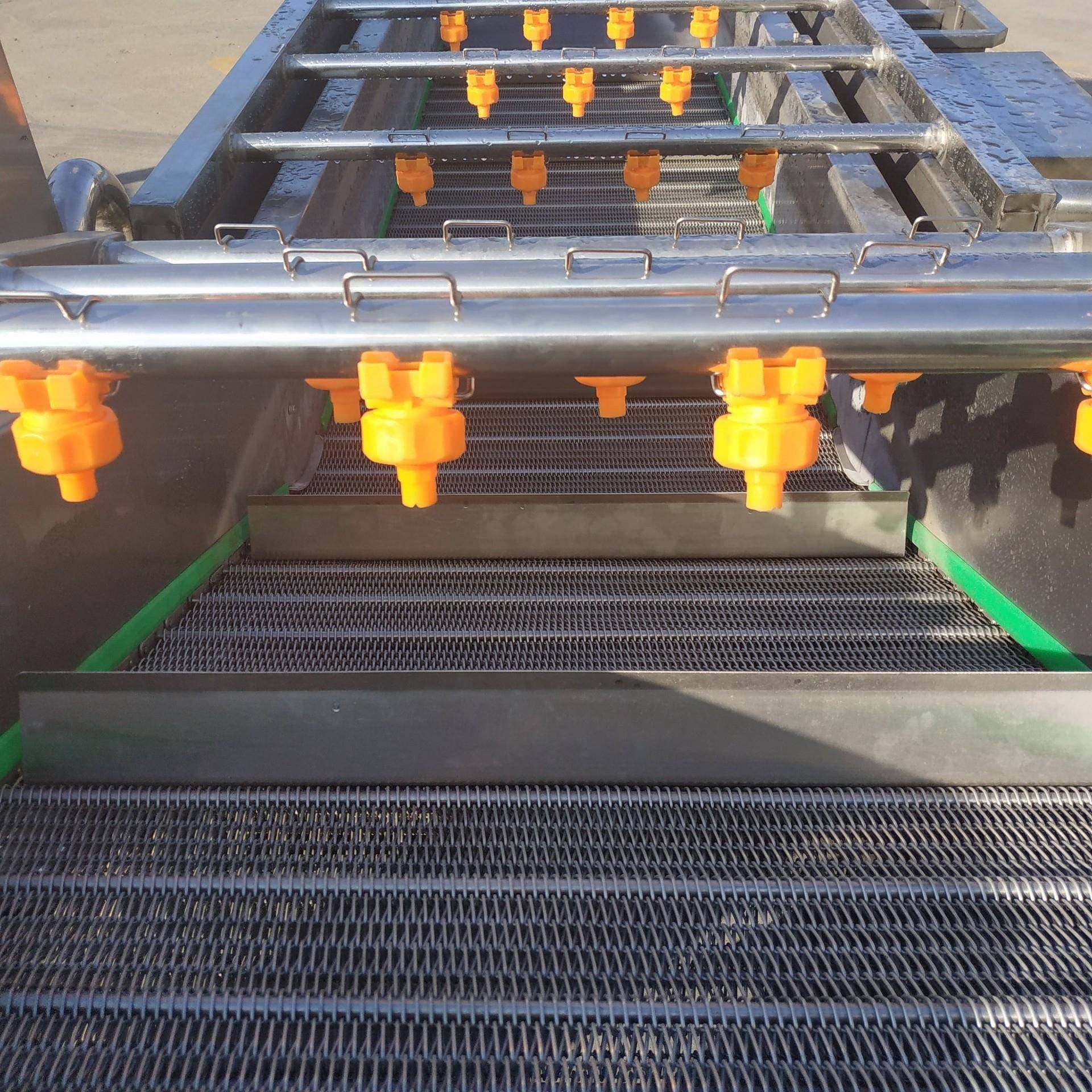 辣椒清洗机水果桃子清洗机果蔬生姜清洗机果蔬反浪气泡清洗机,淘宝优惠券,粉丝福利购,淘宝优惠卷