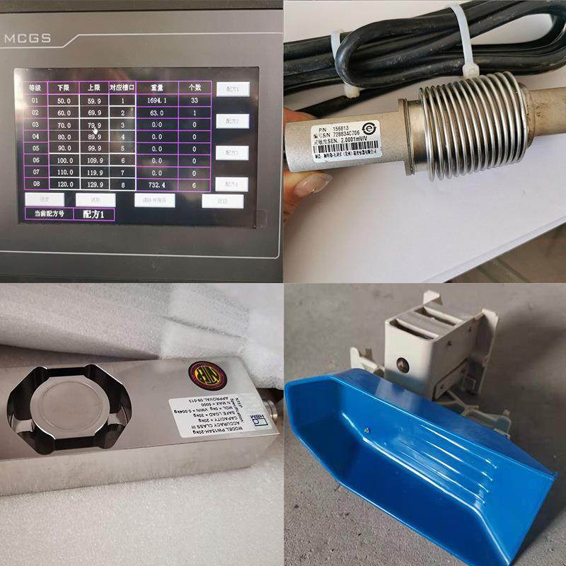 海参海蛎子扇贝分拣机牡蛎料盒重量分级机厂家自动称重分选机,淘宝优惠券,粉丝福利购,淘宝优惠卷