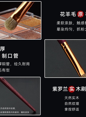赤鸾紫霄系列ZX-10中号眼影上色