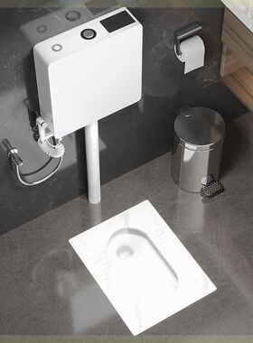 岩板家用陶瓷蹲便器冲水箱整套化妆室大便器蹲便池厕所蹲坑式蹲厕