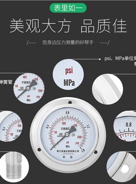 Y-100BFZT不锈钢轴向带边压力表耐高温腐蚀气压水压表油压真空表
