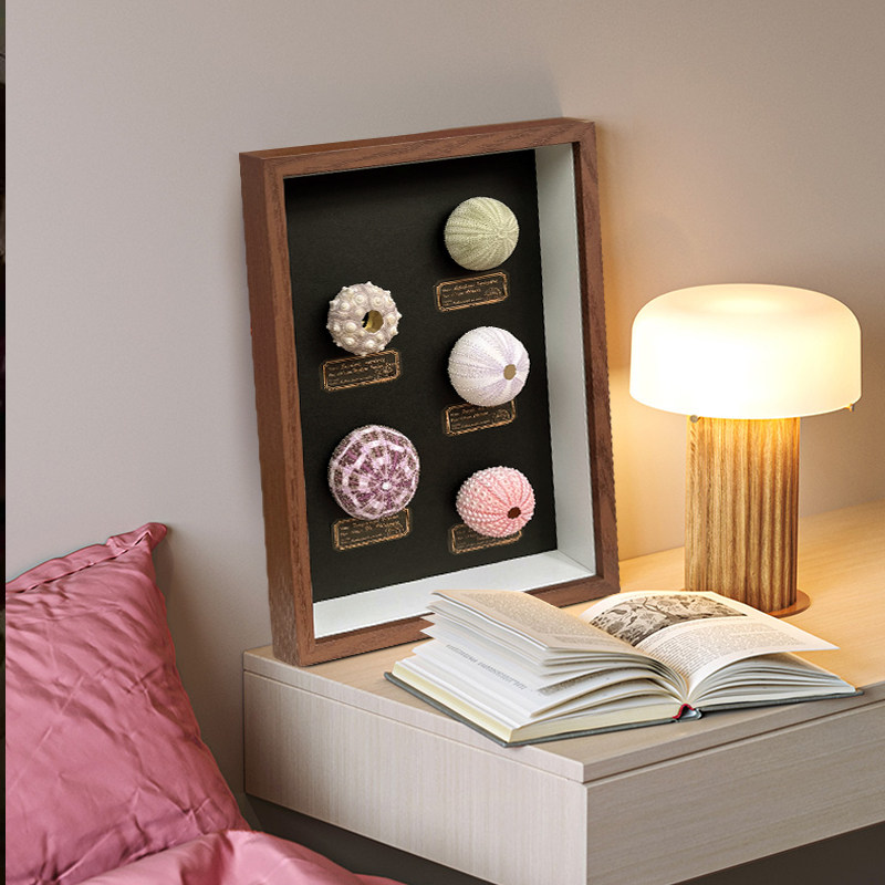 天然海胆气氛灯摆台相框装饰画家居创意生日礼品装饰品工艺品摆饰,淘宝优惠券,粉丝福利购,淘宝优惠卷