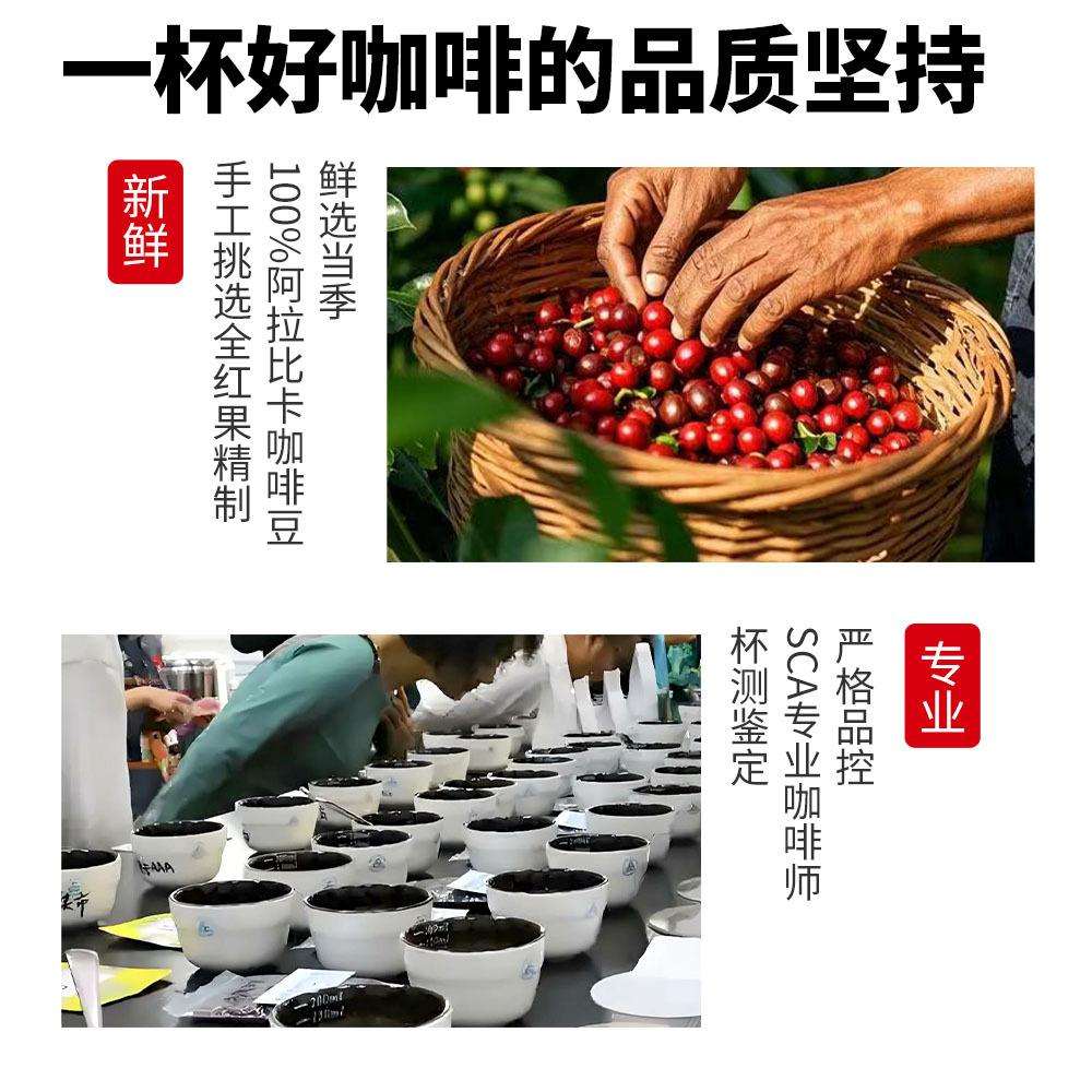 精品云南巴西意式咖啡豆咖啡店商用咖啡新鲜中度烘焙500克 - 图2