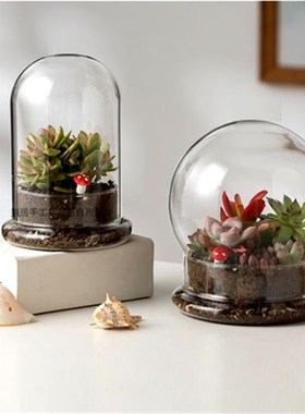 透明分体展示瓶秋海棠植物苔藓闷养壶绿植加高底摆件玻璃罩子包邮