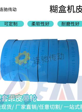 纺织龙带锭带 工业平皮带 高速传动输送带同步带传送带尼龙片基带