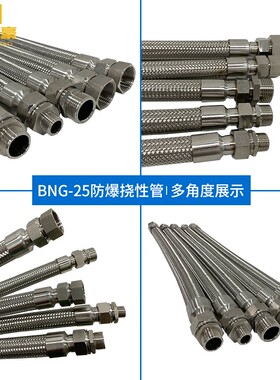 BNG防爆挠性连接管 304不锈钢防爆穿线软管挠性管金属DN15 20 25