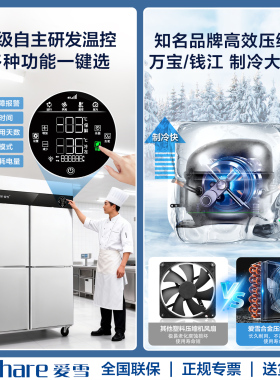 爱雪风冷无霜商用四门立式冰箱