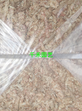 干水苔干苔藓 铁皮石斛蝴蝶兰土 兰花土 进口智利水苔 保湿龟冬眠