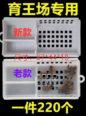 蜂王邮寄王笼 塑料蜜蜂蜂皇保护王龙 透明可视 养蜂工具包邮