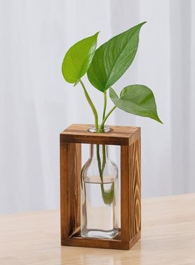 水培植物b木架家居办公室桌面水养植物插花摆件大开口木框玻璃花