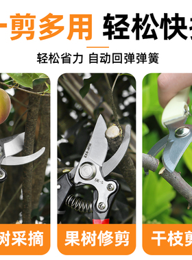 剪枝剪刀修枝剪园林剪园林花艺修剪树枝剪刀家用省力花卉剪子工具