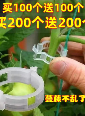 藤蔓夹植物固定支架夹子扶绿植卡扣绑蔓夹秧苗固定器扶蔓夹瓜果夹