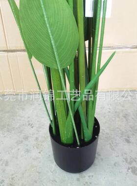 仿真美人蕉树叶婚庆插花派对装饰旅人蕉假盆栽人造美人蕉