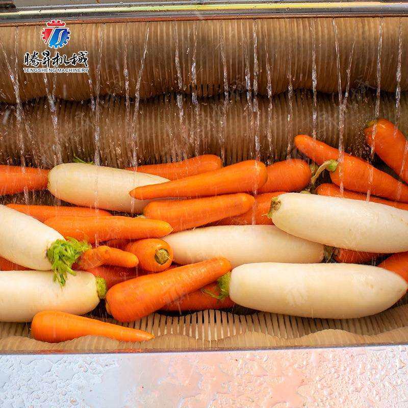 Factory direct sales of root vegetable cleaning machine, all stainless steel brush cleaning machine, Hunan Xiangtan water chestnut cleaning machine