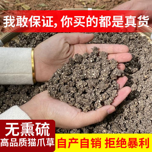 猫爪草原料猫爪草正品猫爪草野生猫爪草新货泡水煲汤姜 - 图0