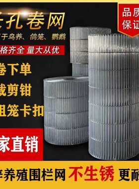 加粗镀锌小长孔电焊网铁丝网片网格丝养殖卷网鸡鸽笼鸟笼阳台垫底