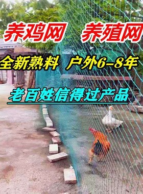 围栏养鸡网尼龙网菜园围栏网鸡网塑料网家禽养殖网拦鸡网户外拦网