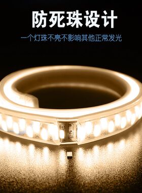 德国进口灯带led三色变光灯条家用220v变色客厅吊顶长条防水灯带