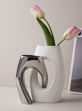 情绪稳定花瓶轻奢陶瓷花瓶高颜值ins风客厅民宿摆件家居装饰品