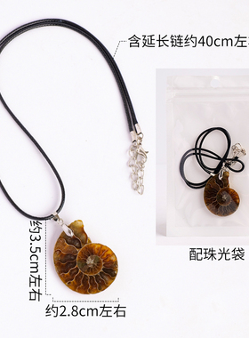 天然斑彩螺化石吊坠个性项链