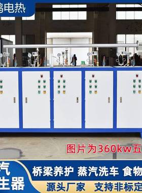 全自动电热蒸汽锅炉现货桥梁养护混凝土干洗熨烫工业蒸汽发生器