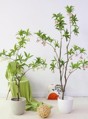 仿真绿植水石榕居家客厅装饰落地绿植造景装饰堆景假树