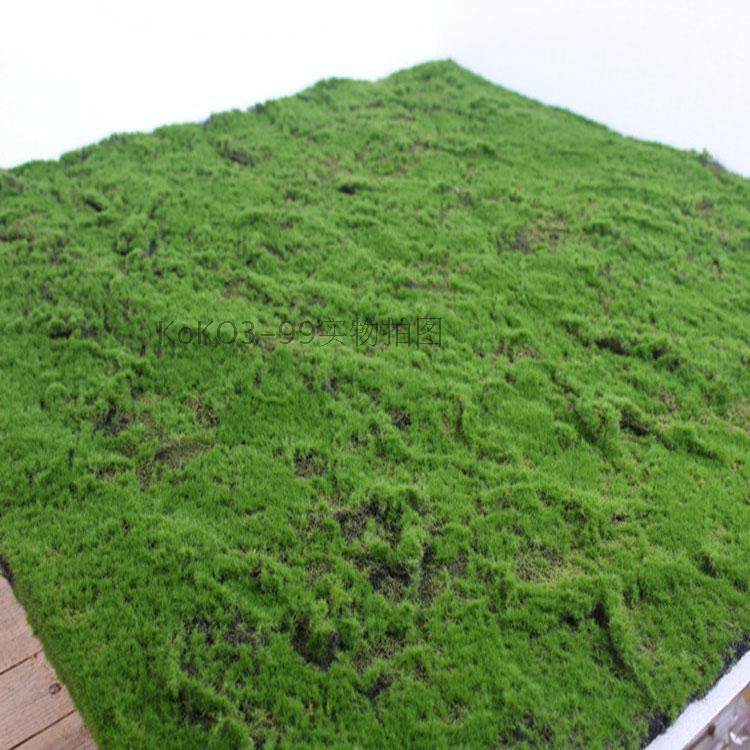 假苔藓仿真青苔藓草皮假草坪盆景铺面假绿植物墙橱窗墙面装饰,淘宝优惠券,粉丝福利购,淘宝优惠卷