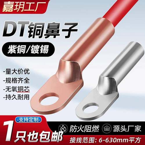 国标定制加厚紫铜/镀锡铜鼻子DT接线端子小内径16/25/35平方定制 - 图0