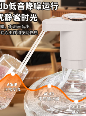 双泵双孔快速出水电动抽水器