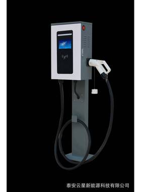 30KW单枪直流充电桩（壁挂式/落地式）直流充电桩