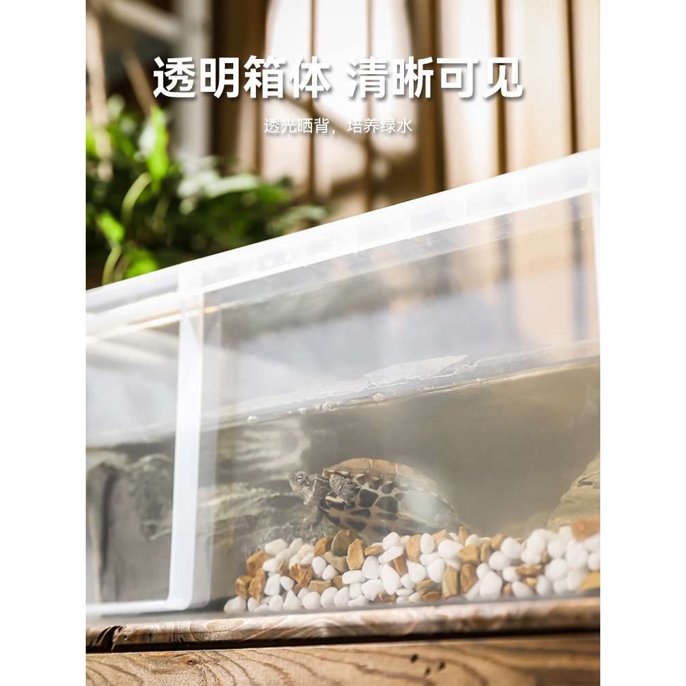 乌龟周转箱家用过滤造景塑料养龟缸透明生态箱亚克力生物养殖箱子 - 图3