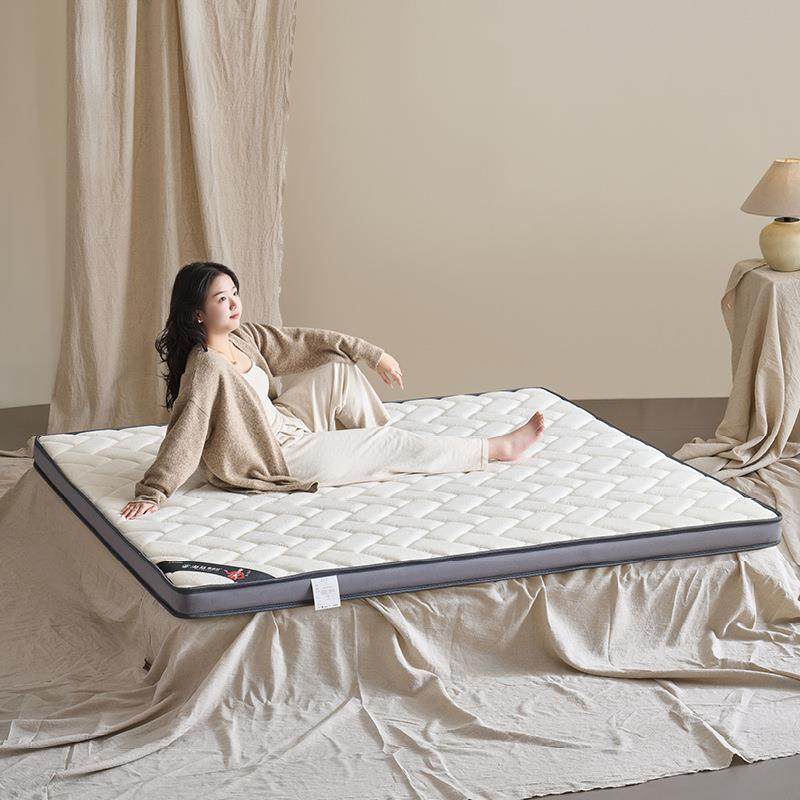 天鹅绒乳胶冰丝床垫软硬适中两用静音抗干扰家用席梦思床垫,淘宝优惠券,粉丝福利购,淘宝优惠卷